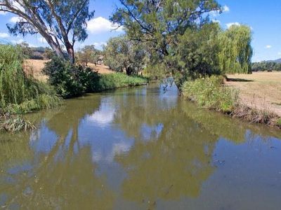 219 Ogunbil Road, Tamworth