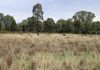 Lake Endeavour Road, Parkes