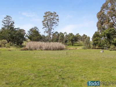 330 Paddys Dam Road, Tooborac