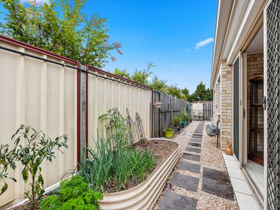 8 Kennedy Court, Urraween