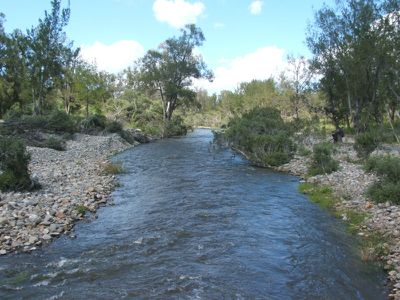 Mingoola Station, Tenterfield