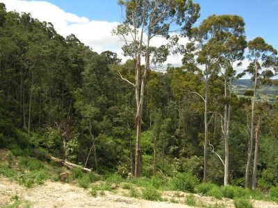 Lot 3 Doodys Hill Road, Port Huon
