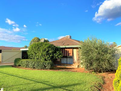 17 Harward Road, Griffith