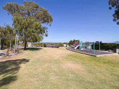 5 Diamondbird  , Baldivis