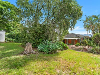 10 Elder Crescent, Nowra