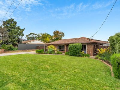 187 Milne Road, Modbury North