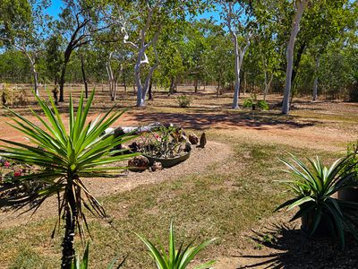 598 Endeavour Valley Road, Cooktown