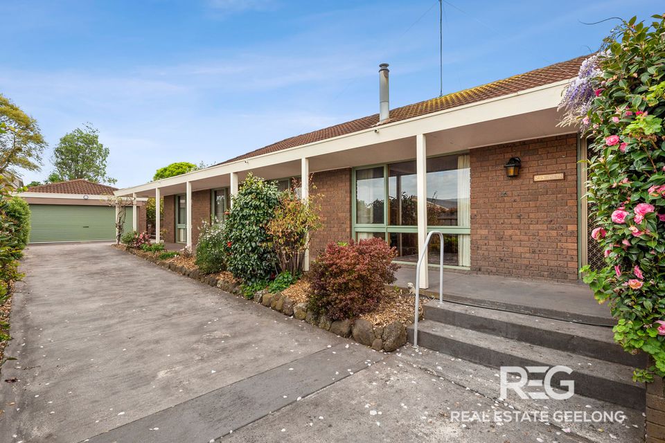 20 Remony Avenue, Highton