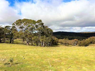 Lot 34, 6875 Taralga Road, Taralga