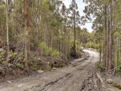 Lot 1, 440 Woodbridge Hill Road, Woodbridge