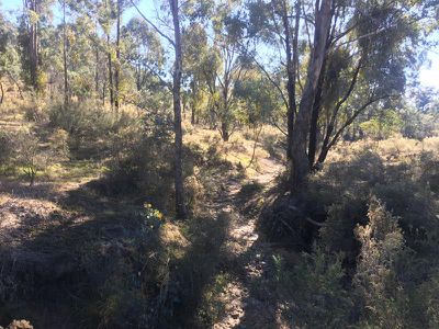 109 Briar Lane, Mount Rankin