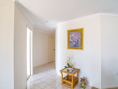 42 Ibis Boulevard, Eli Waters