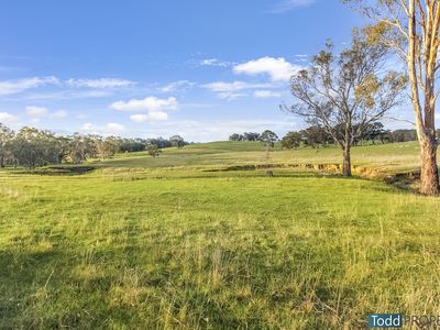 Watkins Lane, Heathcote