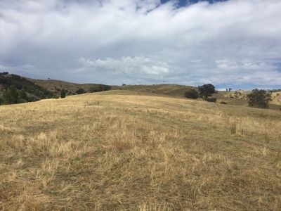 . Sandy Creek Road, Sandy Creek