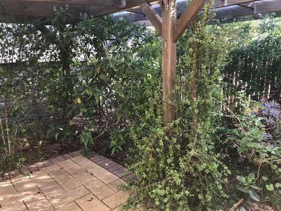 67 Penglase Street, Koondrook