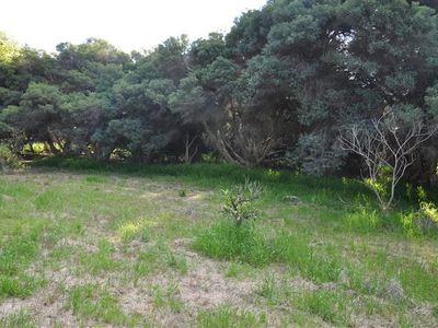 56 Farnell St, Forbes