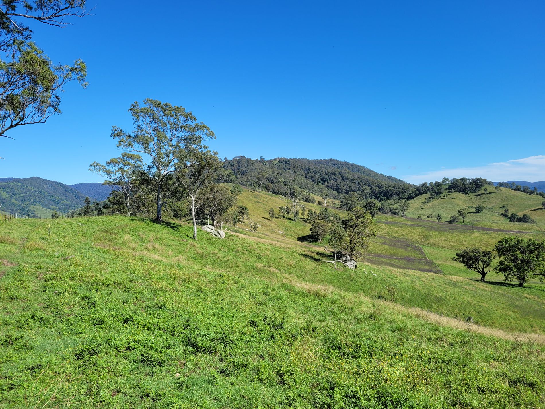 552 Neringla Road, Neringla