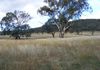 51 Mills Road, Molong
