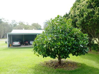35 Peters Road, Glass House Mountains