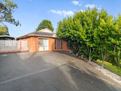 41 Wiltshire Drive, Somerville