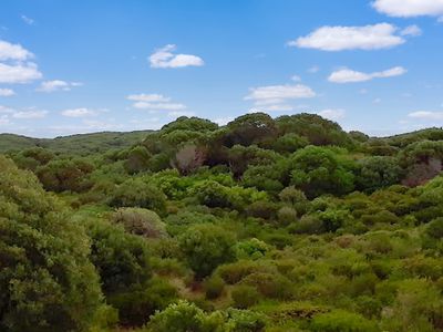 Bungaree Road, Bungaree