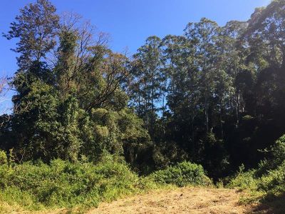 1 / 818 Blue Knob Road, Nimbin
