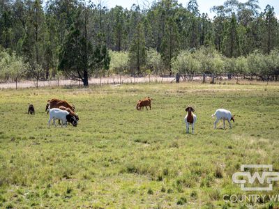 1986 Pindari Dam Road, Pindaroi