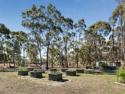 29 Tehan Court, Heathcote