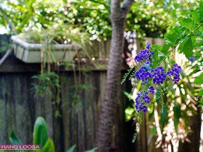 127 Hendry Street, Tewantin