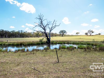 Lot 7, - Emmaville Rd, Emmaville
