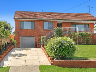 44 Vermont Road, Warrawong