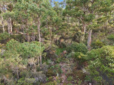 287 Esperance Coast Road, Brooks Bay