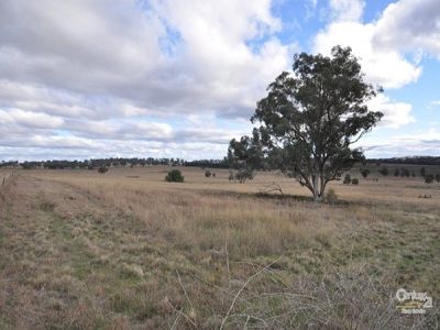 19L Bulwarra Drive, Dubbo