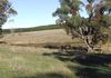 Annaburroo Cadia Road, Orange