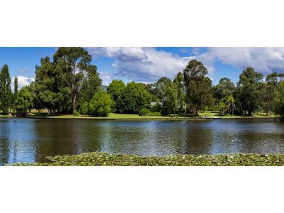 387 Adams Lane, Staghorn Flat