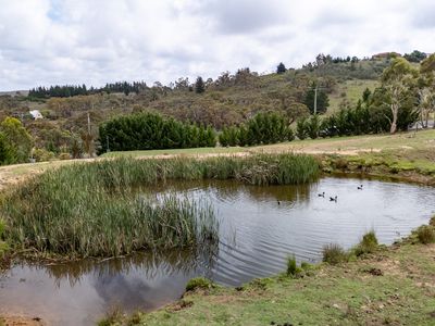 477 Denley Drive, Wamboin