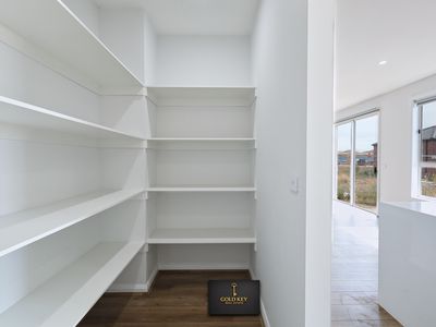 8 Beveridge Circuit, Armstrong Creek