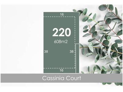 Lot 220, Cassinia Court, Campbells Creek