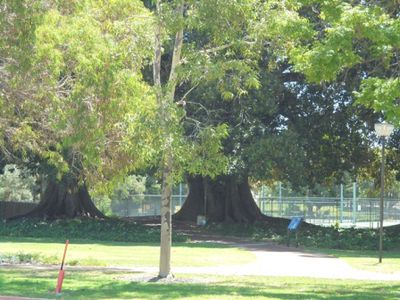 132 Palmerston Street SOLD, Perth