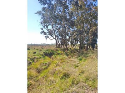 6436 Mid Western Highway, Lyndhurst
