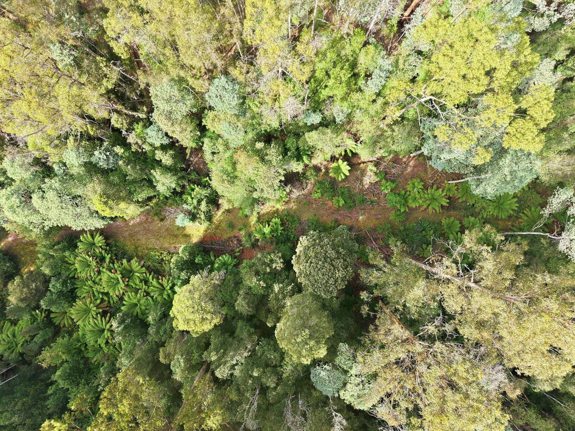 111 Underwoods Road, Nicholls Rivulet