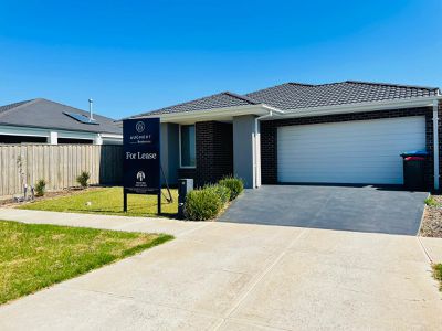 12 Cerulean View, Werribee