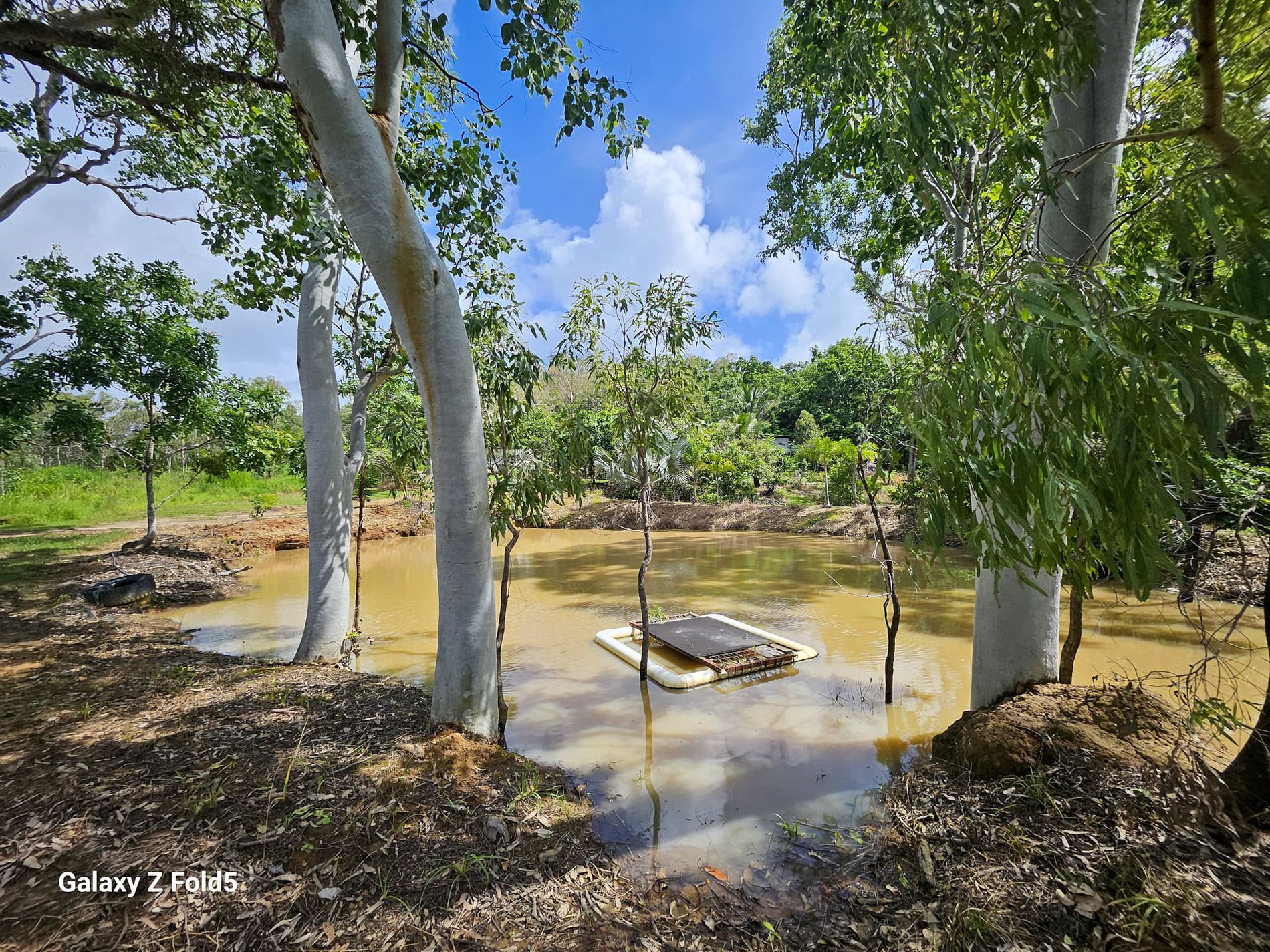 61 Idress Drive, Cooktown