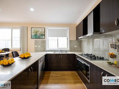 10 Water Fern Grove, Greenvale