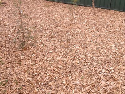 2 / 86b Waratah Street, Windang