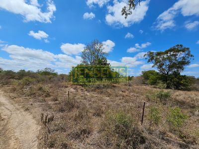 Lot 2, Burdekin Street, Mingela