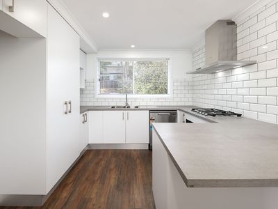 446 ROSE STREET, Lavington