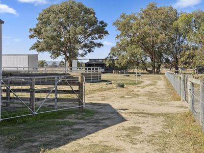 353 Lyons Road, Tarrawingee
