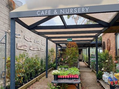 Cafe and Nursery Business for Sale Rosebud South