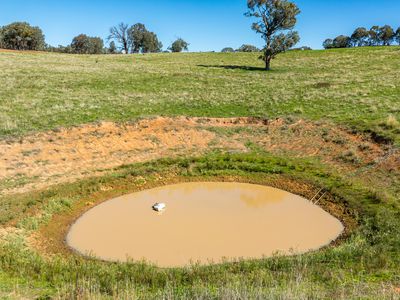 823 Woomargama Way, Woomargama